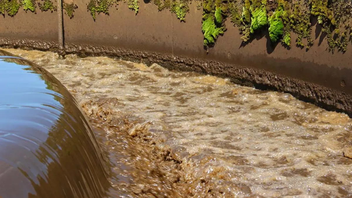 Black & odorous water remediation